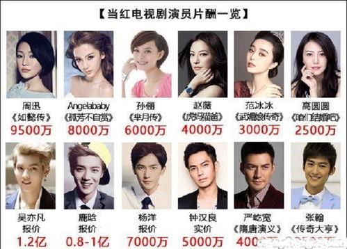 明星综艺节目片酬,巨额收入背后的真相与争议