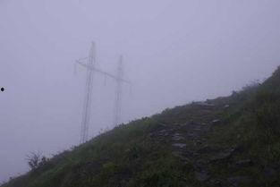 荒山野岭图片,自然荒芜与生命坚韧的交响